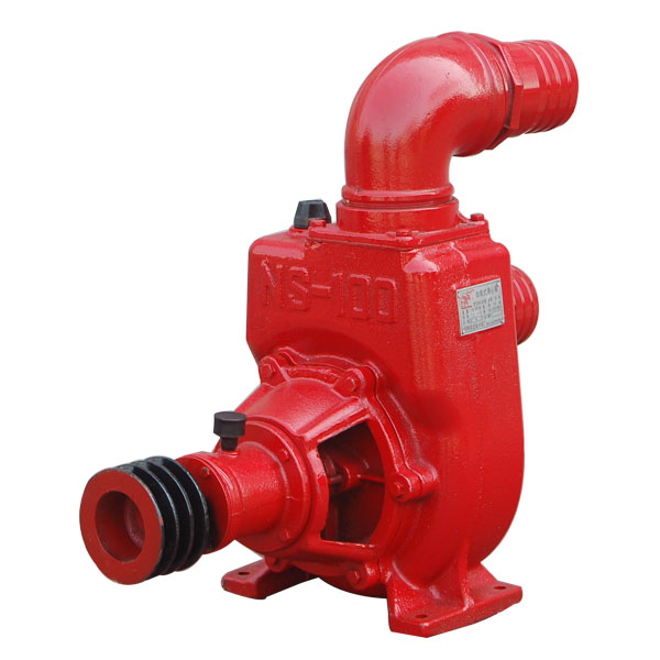 NS-100